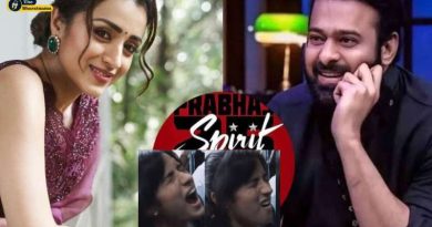 Spirit Movie Update